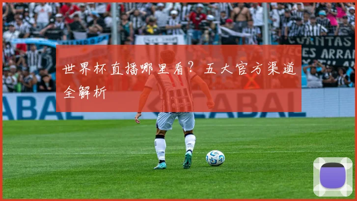 世界杯直播哪里看?五大官方渠道全解析