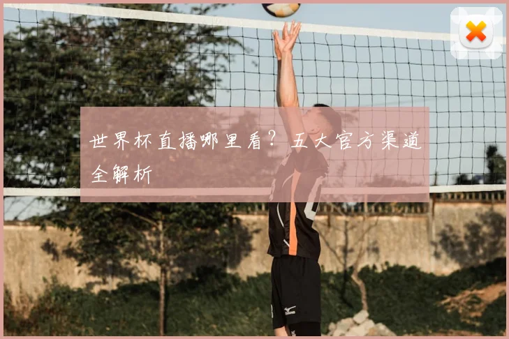 世界杯直播哪里看?五大官方渠道全解析