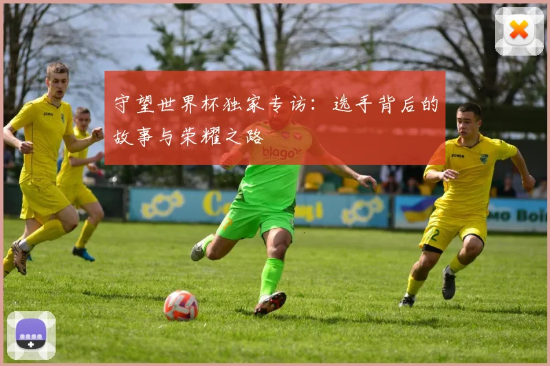 守望世界杯独家专访：选手背后的故事与荣耀之路