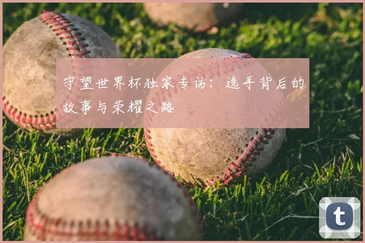 守望世界杯独家专访：选手背后的故事与荣耀之路