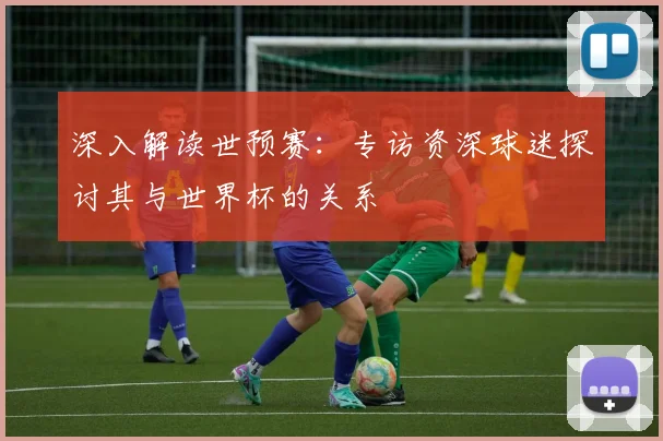 深入解读世预赛：专访资深球迷探讨其与世界杯的关系