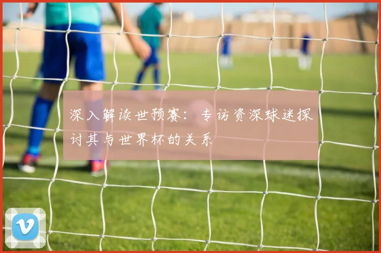 深入解读世预赛：专访资深球迷探讨其与世界杯的关系