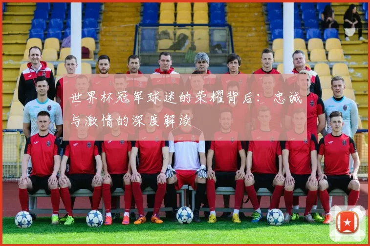 世界杯冠军球迷的荣耀背后：忠诚与激情的深度解读