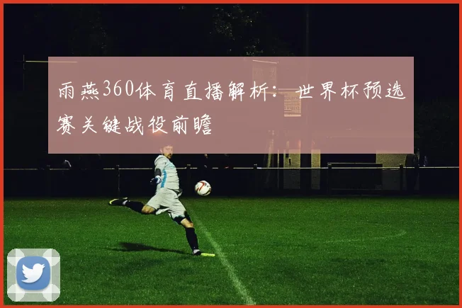 雨燕360体育直播解析：世界杯预选赛关键战役前瞻
