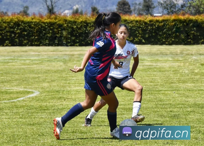 emc体育平台登录入口APP 体育赛事宣传图